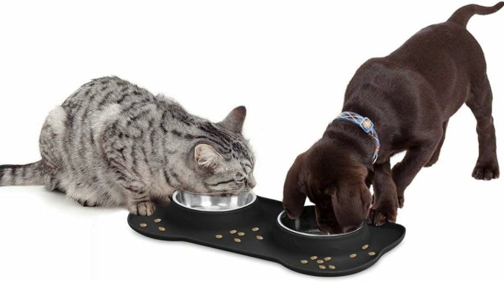 AsFrost Dog Food Bowls Stainless Steel Pet Bowls  Dog Water Bowls with No-Spill and Non-Skid, Feeder Bowls with Dog Bowl Mat for Small Medium Large Size Dogs Cats Puppy Pets, Dog Dishes, Black, 240z