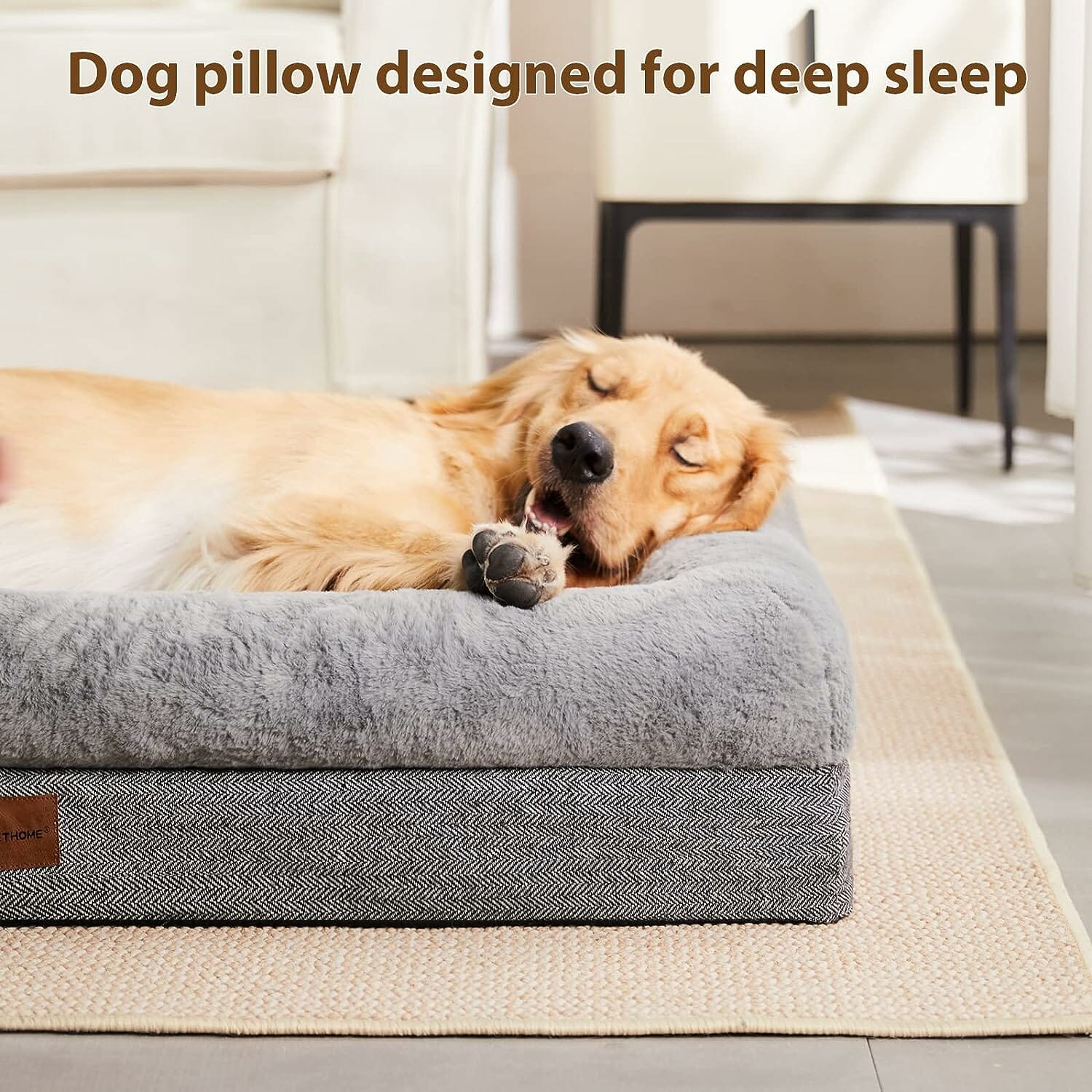 BFPETHOME Sofa Dog Bed Review – The Perfect Comfort Solution for Your Pup?