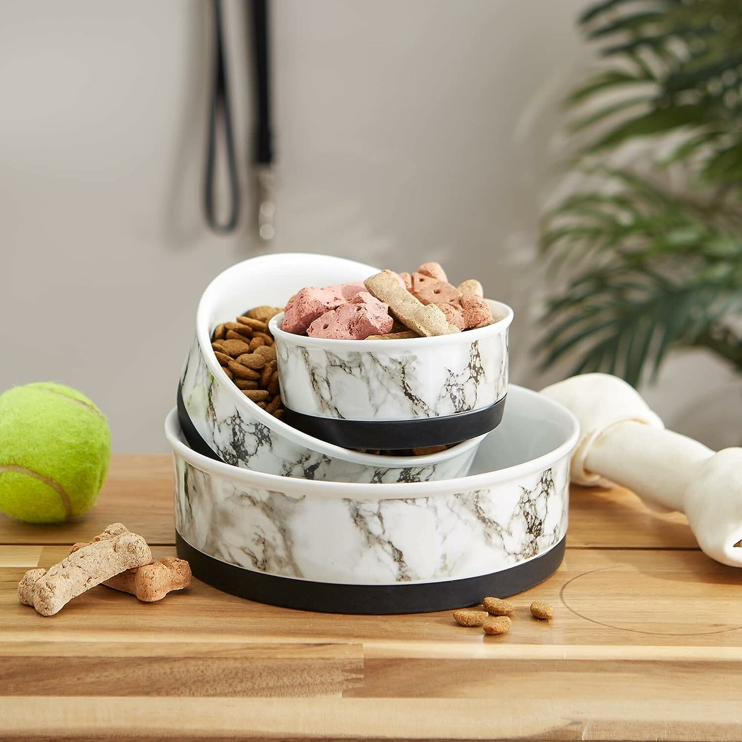 Bone Dry Pet Bowl Collection Ceramic Set Review