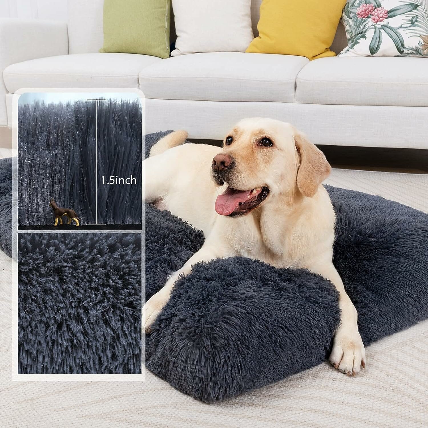 CHAMPETS Washable Dog Bed Review – The Ultimate Comfort for Your Pup?