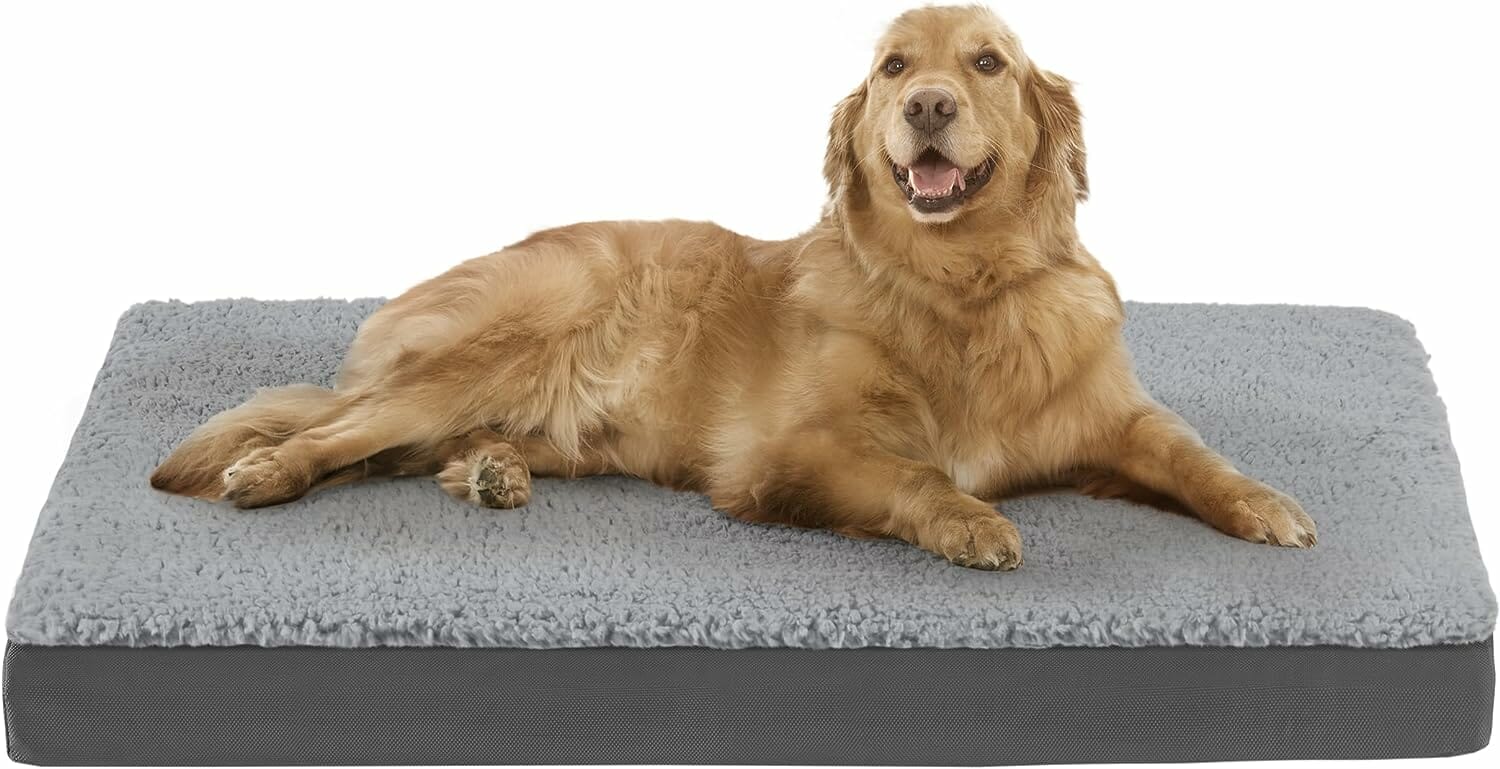 Codi Orthopedic Dog Bed Review – Is It Worth the Investment?