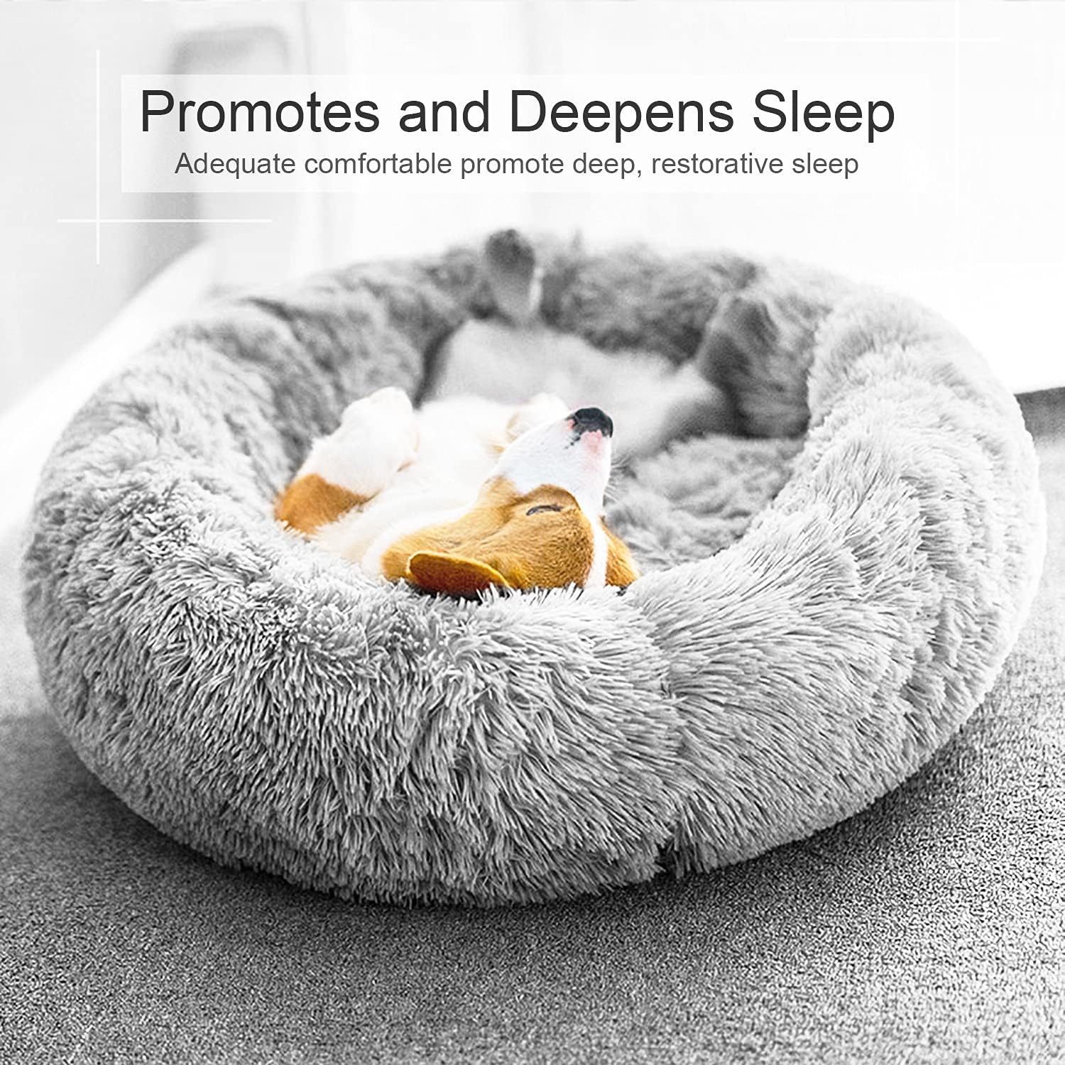 DogBaby Dog Bed Review – The Perfect Resting Haven?