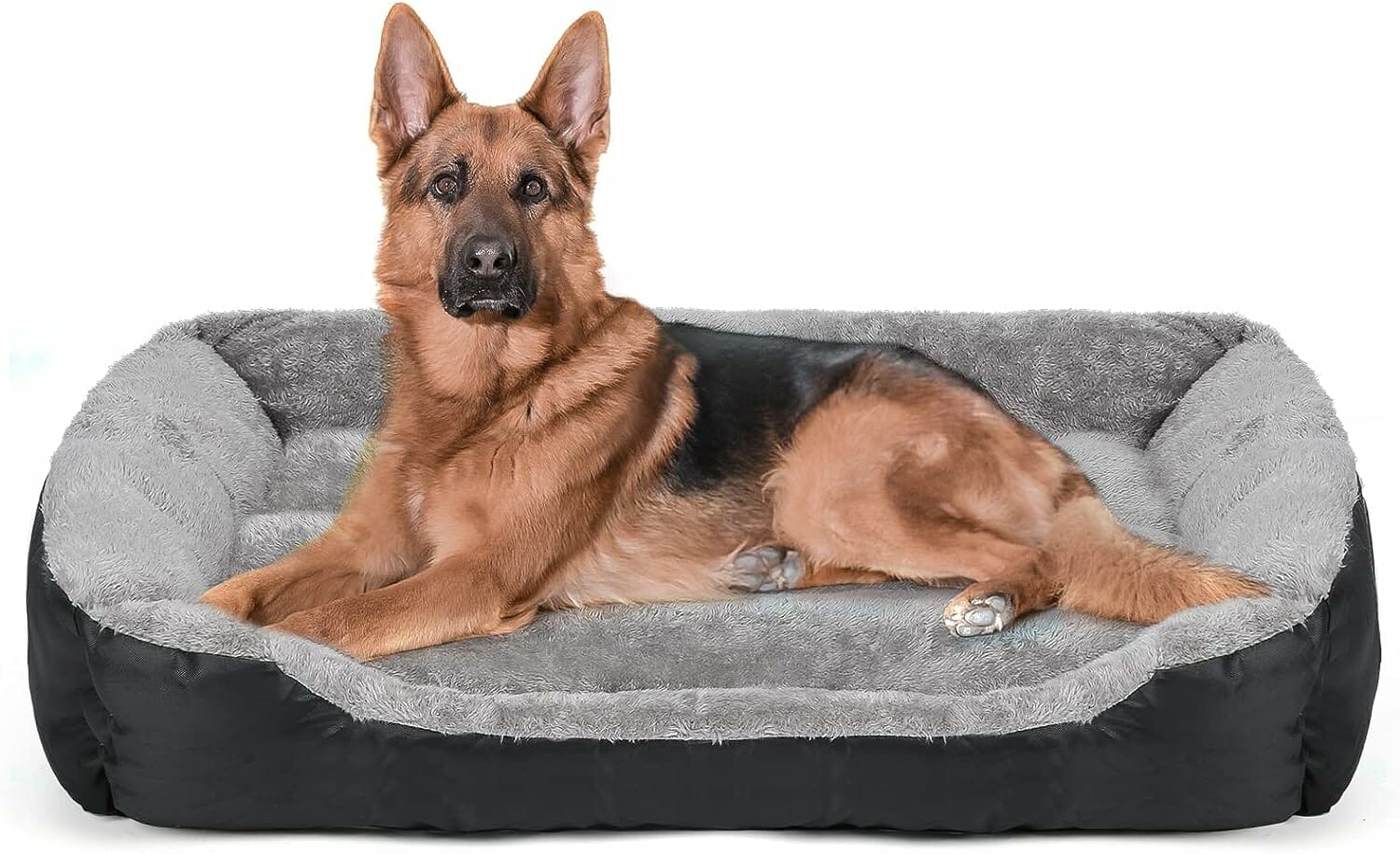 Dog Beds For Large Medium Dogs Review