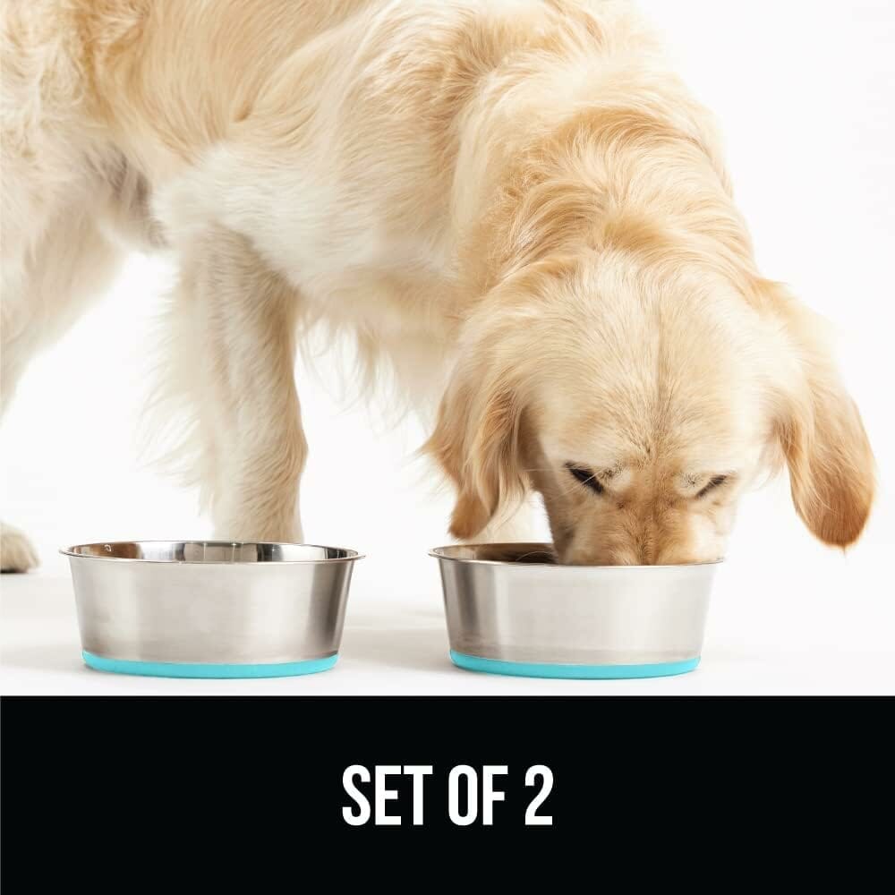 Gorilla Grip Stainless Steel Metal Dog Bowl Set Review: Is It Worth It?