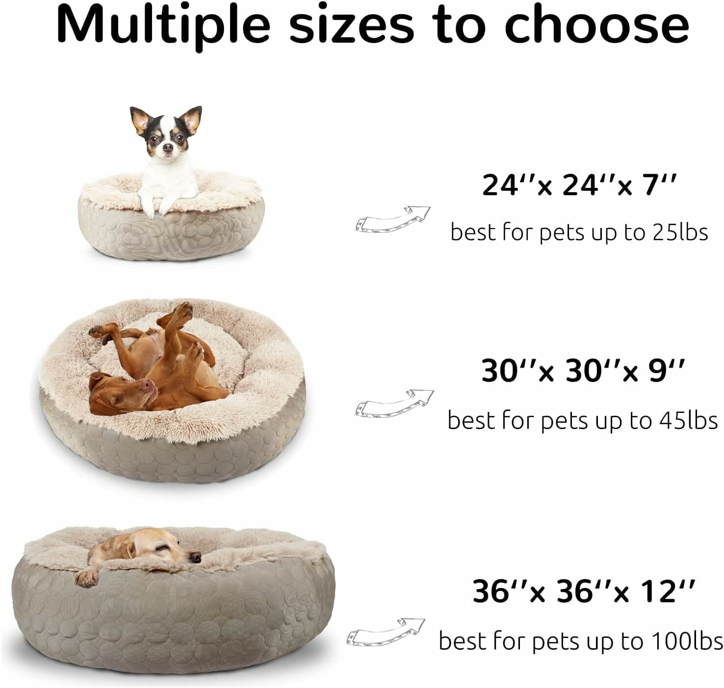 HACHIKITTY Dog Donut Bed Calming Bed Review – The Ultimate Comfort for Your Pup?
