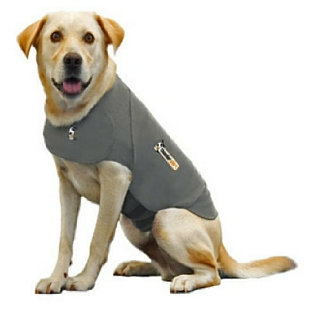 How Long Can A Dog Wear A Thundershirt