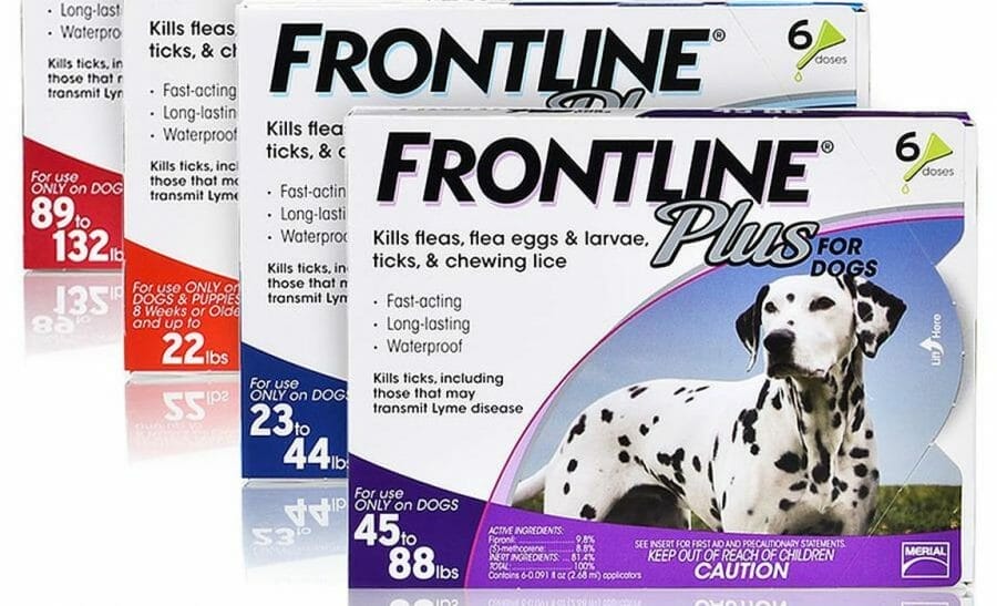 How Long Does Frontline Last On A Dog