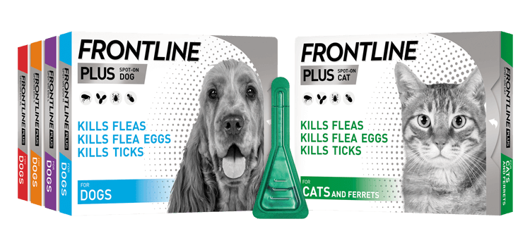 How Long Does Frontline Last On A Dog