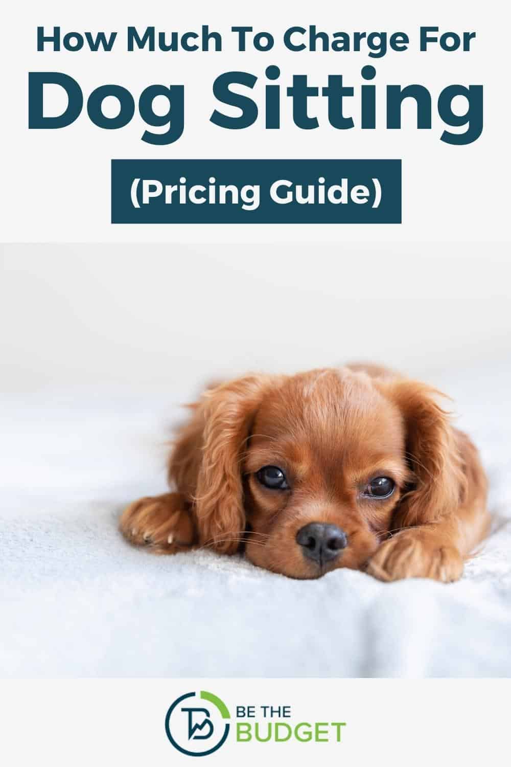 How Much To Pay A Dog Sitter