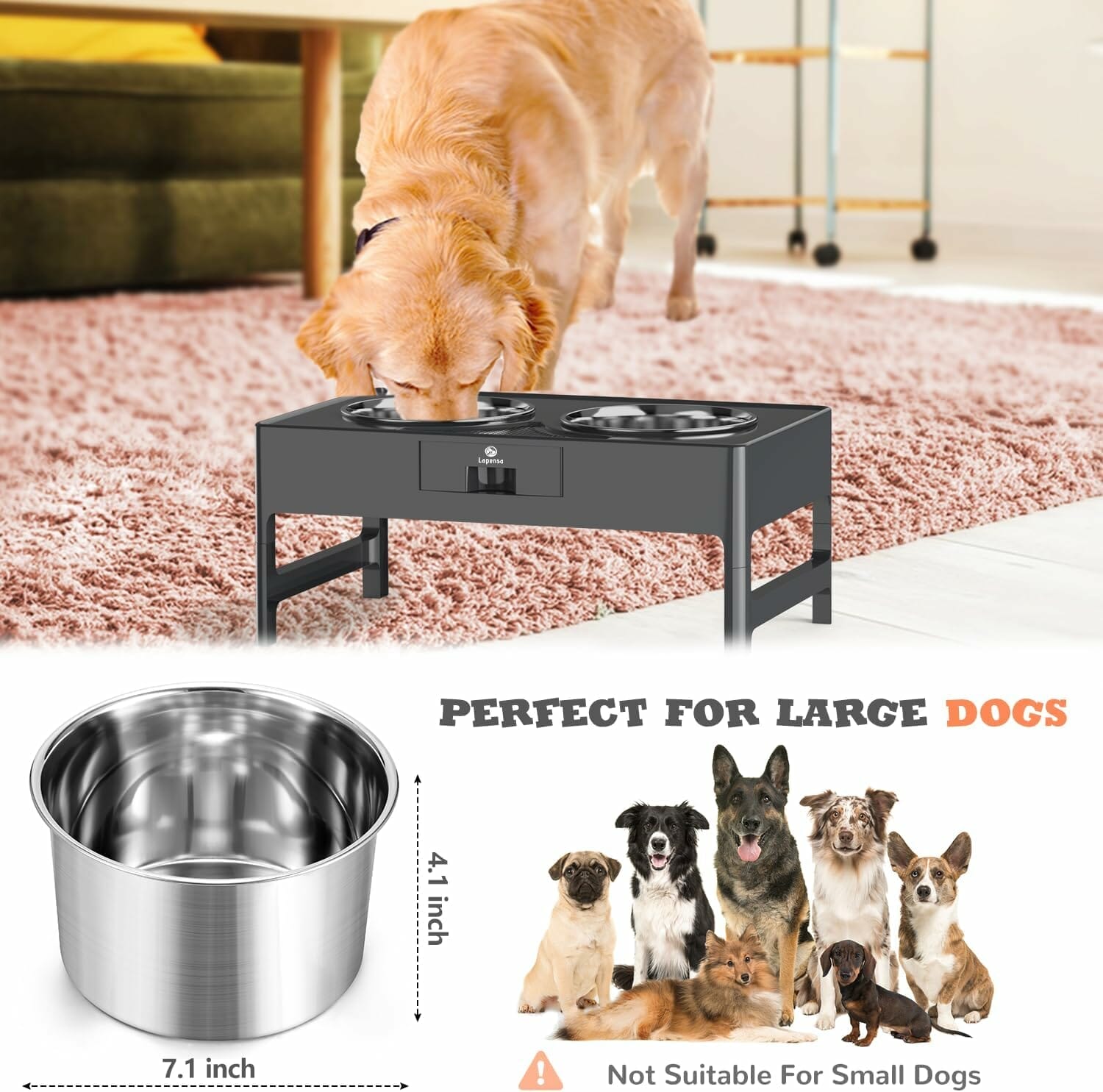 Lapensa Elevated Dog Bowls Review