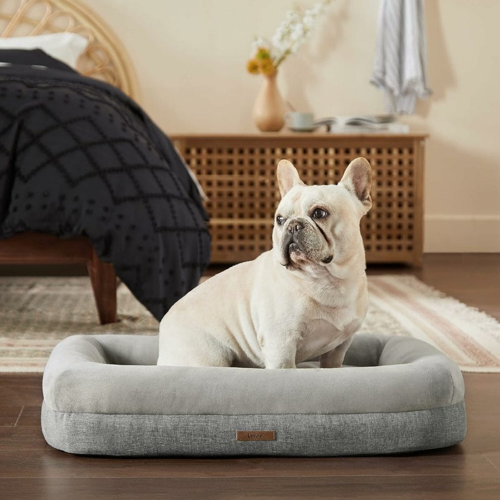 Lesure Bamboo Charcoal Memory Foam Dog Bed - Orthopedic Dog Bed for Medium Dogs Made with CertiPUR-US® Certified Foam - Bolster Pet Bed with Removable Washable Cover and Waterproof Lining, Grey