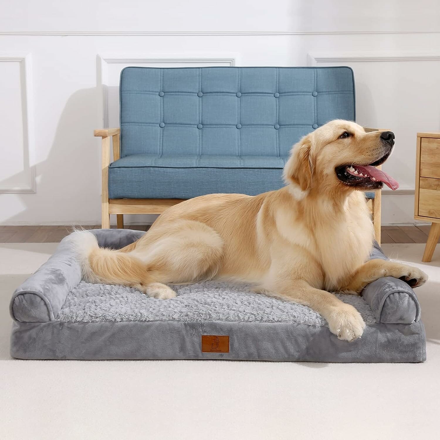 Mesa Lemon Extra Large Dog Bed Review – A Cozy Haven for Your Pup?