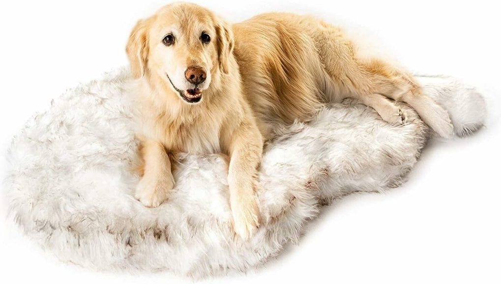 PAW Brands Puprug Faux Fur Memory Foam Orthopedic Dog Bed, Premium Memory Foam Base, Ultra-Soft Faux Fur Cover, Modern and Attractive Design (Large/Extra Large - 50 L X 30 W, White Curve)