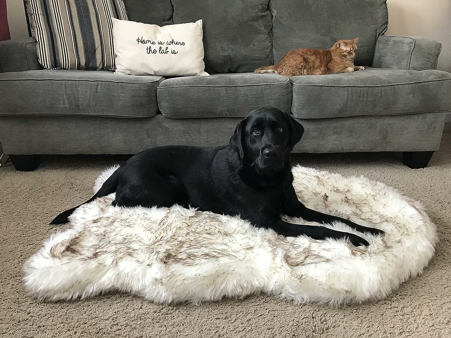 Paw Brands Puprug Faux Fur Memory Foam Orthopedic Dog Bed Review