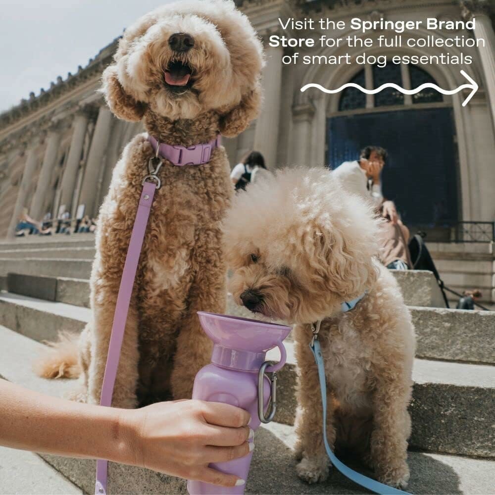 Springer Dog Water Bottle | Portable Travel Water Bottle Dispenser for Dogs - As Seen on Shark Tank | Patented, Leak-Proof Bottles Fill Bowl with Water - Ideal for Walking | BPA-Free 22oz Indigo