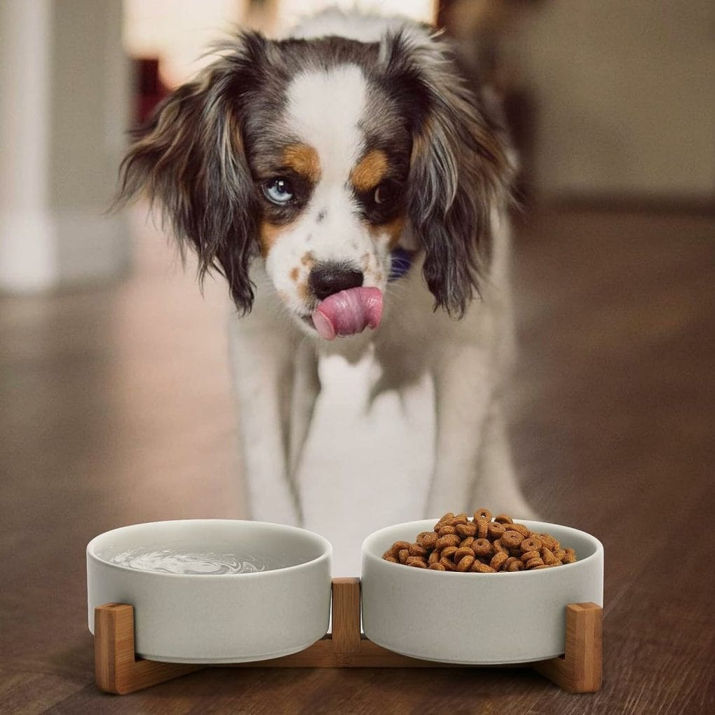 SPUNKYJUNKY Ceramic Dog and Cat Bowl with Wood Stand Non-Slip Matte Glaze Weighted Food Water Set for Cats Small Dogs 13.5OZ