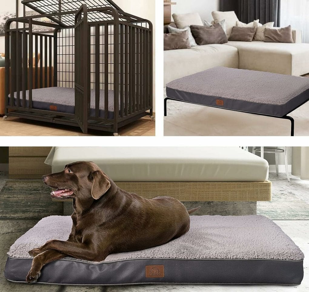 Sunheir Orthopedic Dog Bed for Medium, Large and Extra Large Dogs, Large Dog Bed with Removable Waterproof Cover and Egg-Crate Foam, Pet Bed Machine Washable (36 x 27 x 3 inch, Grey)