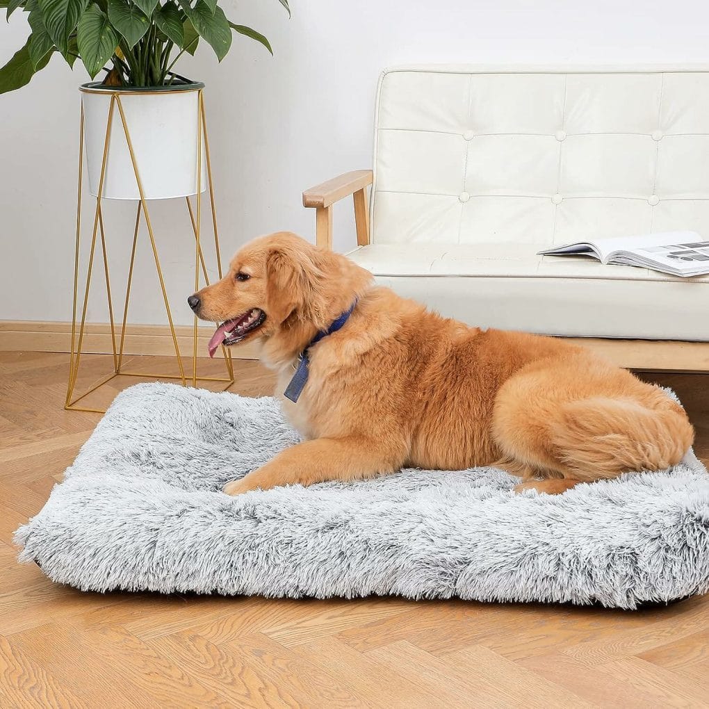 sycoodeal Dog Bed,Crate Pet Bed Kennel Pad,Soft Plush Washable,Comfortable Dog Bed,Suitable for Medium  Large Dogs (Grey)