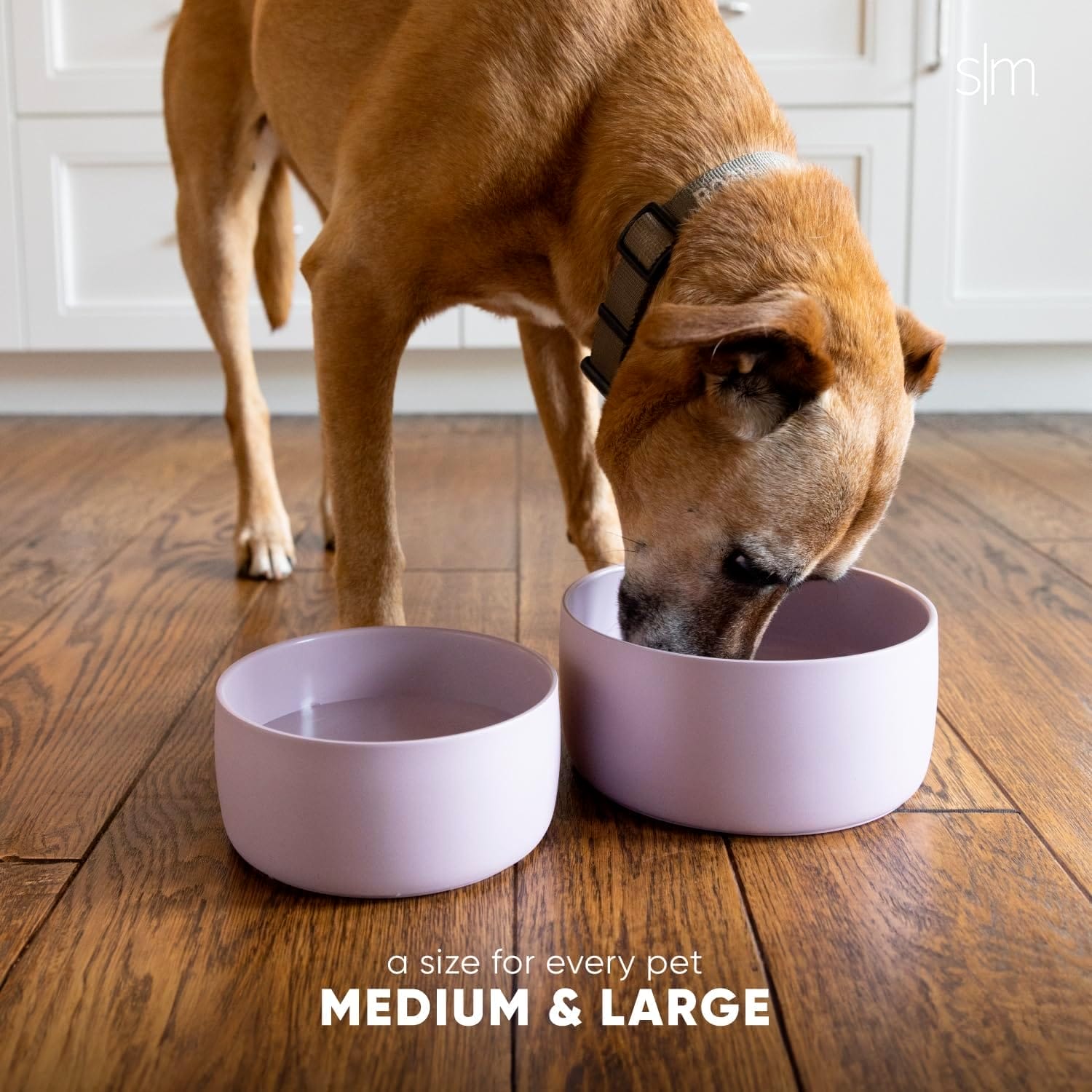 simple modern stainless steel pet water bowl for dogs cats review 1