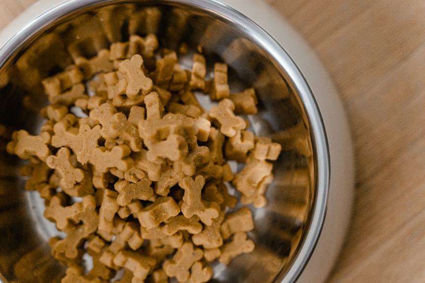 Why Is My Dog Removing Food From Bowl? Understanding Canine Behavior