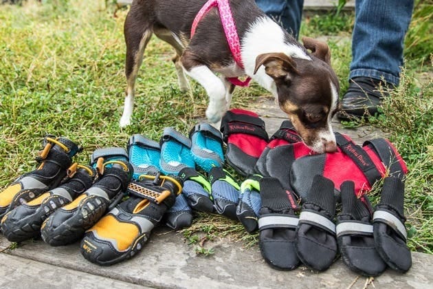 How to Clean Dog Shoes: Step-by-Step Guide and Tips